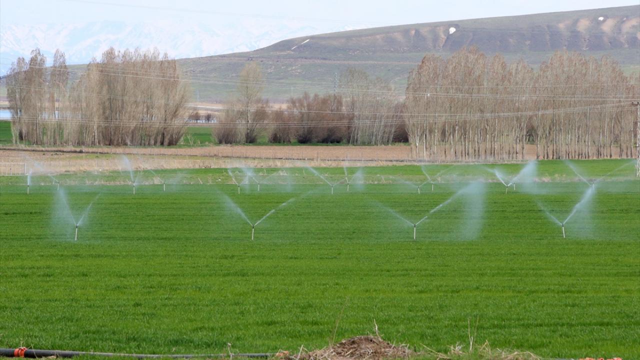 "Yağmurlama sisteminin yaygınlaştırılması gerekiyor"
