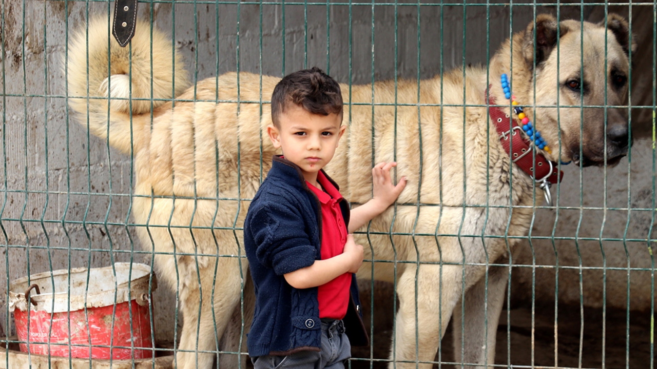 "Satışından elde edilecek gelir şehit ailelerine bağışlansın"