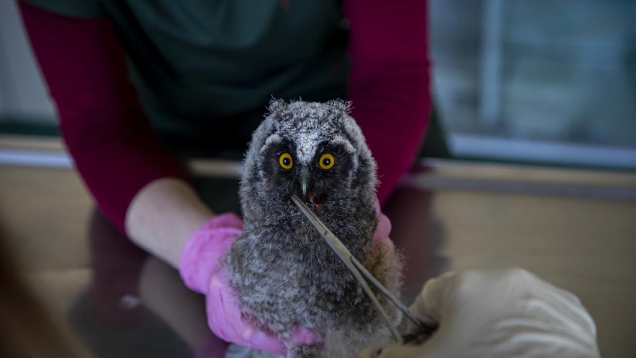 "Acil hizmetler dışındaki tüm hizmetlerimizi randevuya bağladık"
