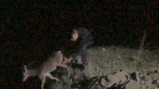 Kurtarmak istediği karacayla uçurumdan düştü