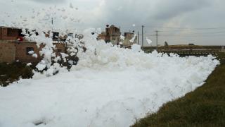 Kolombiya'da zehirli köpük endişesi