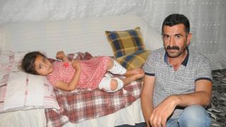 Sahipsiz köpeğin saldırısına uğrayan 5 yaşındaki çocuk yaralandı