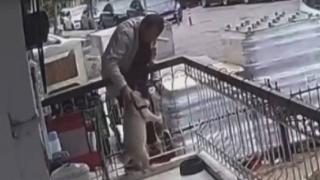 Balkona tırmanıp köpeği çaldı: O anlar kamerada