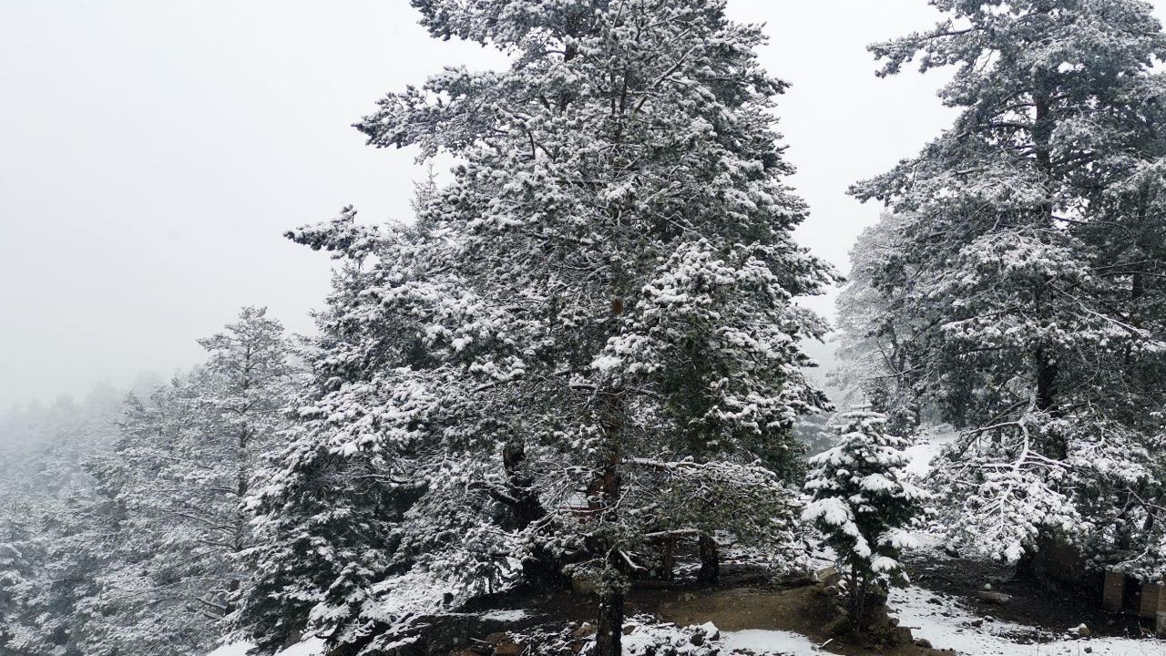 Gümüşhane dağları