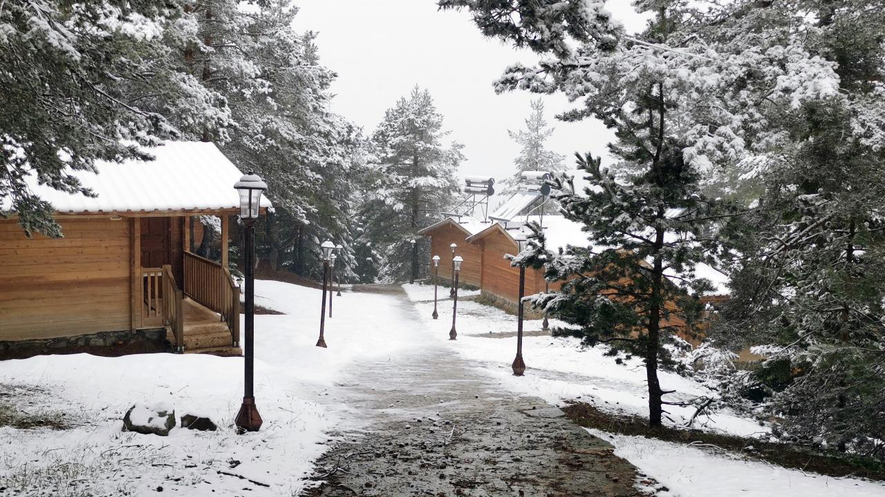 Gümüşhane dağları