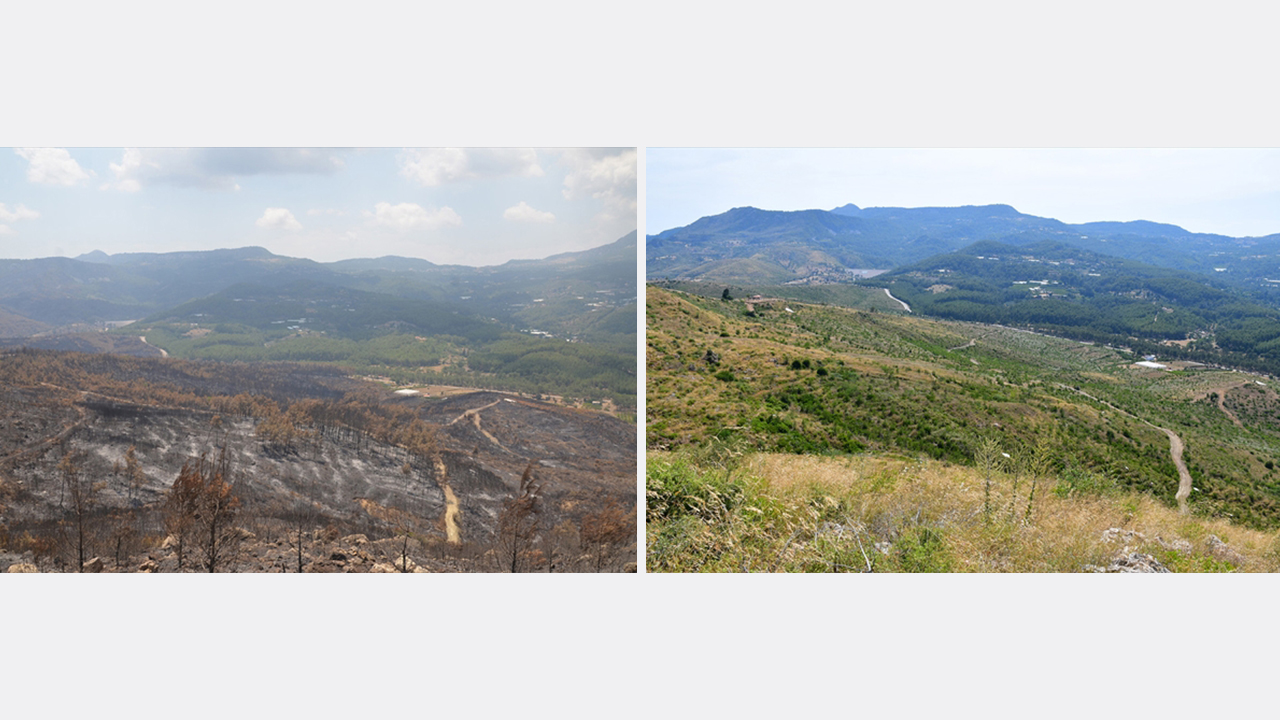 Gozal, ajoyib dumba porno Seksi raqs video