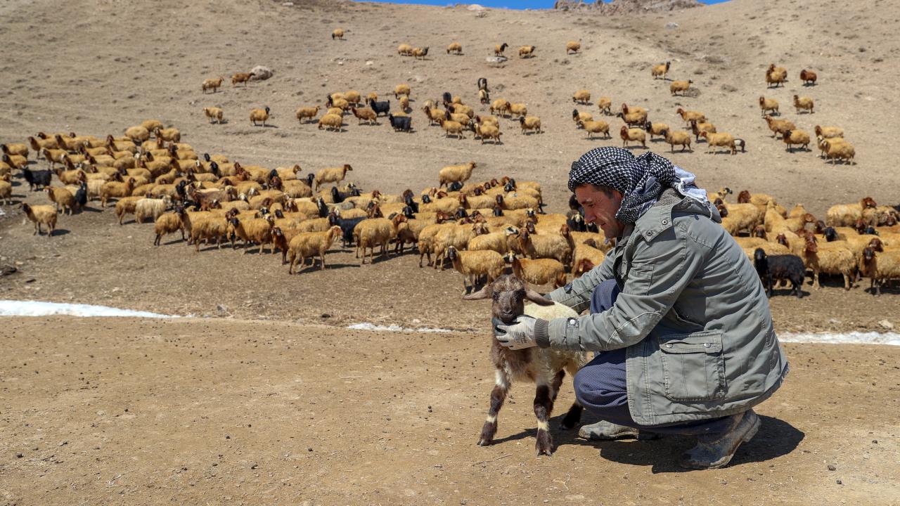 Irkın ülke ve bölge için son derece önemli genetik kaynaklardan biri olduğunu belirten Özkan, şunları kaydetti: