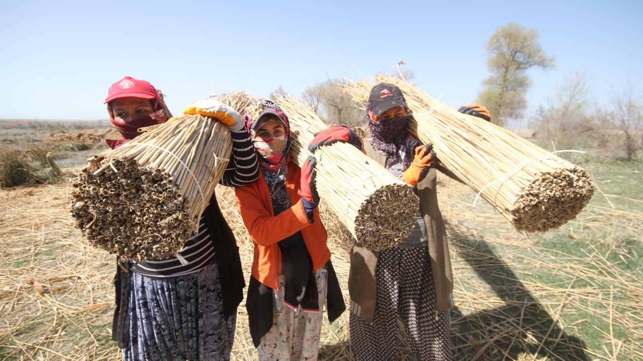 "Sezon 12. ayda başlıyor"