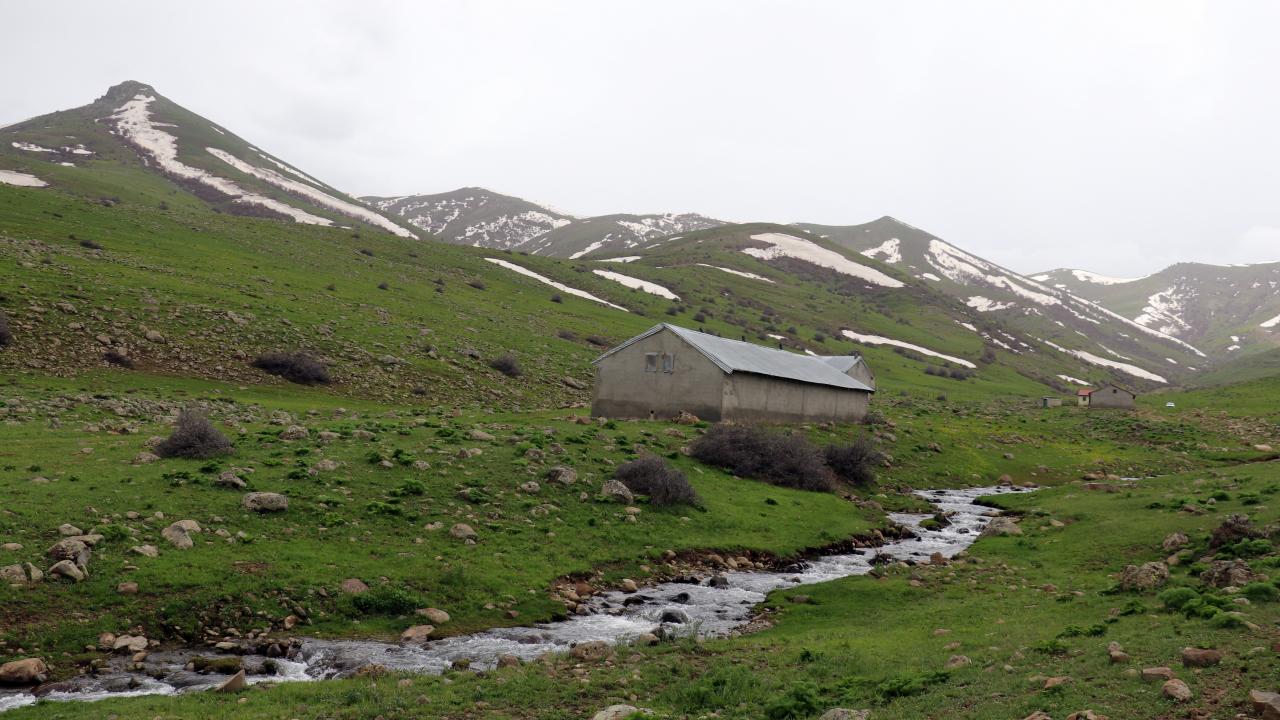 Heliz otunun çok lezzetli olduğunu ve vatandaşların gruplar halinde toplamaya geldiğini ifade eden Yakut, şöyle konuştu: