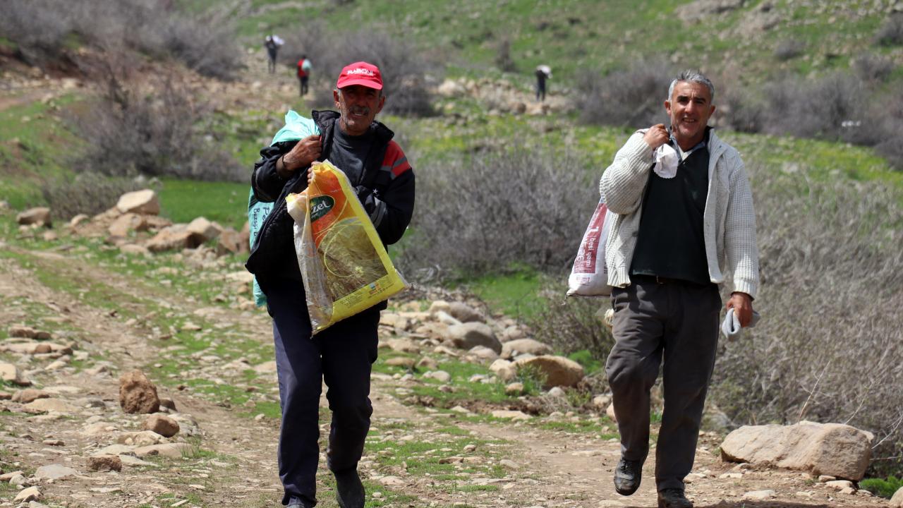 "Heliz otuna talep çok fazla"