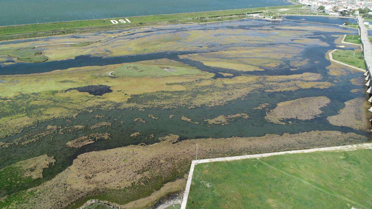 `Bizim kuşlarımız, ördeklerimiz vardı. Neredeler? Hiçbiri yok`