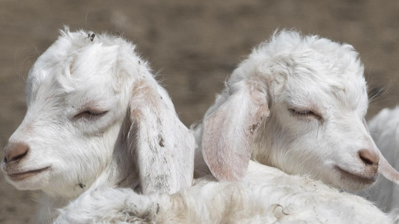 Devlet tarafından sağlanan desteklerin önemine işaret eden Eroğlu, şu değerlendirmede bulundu: