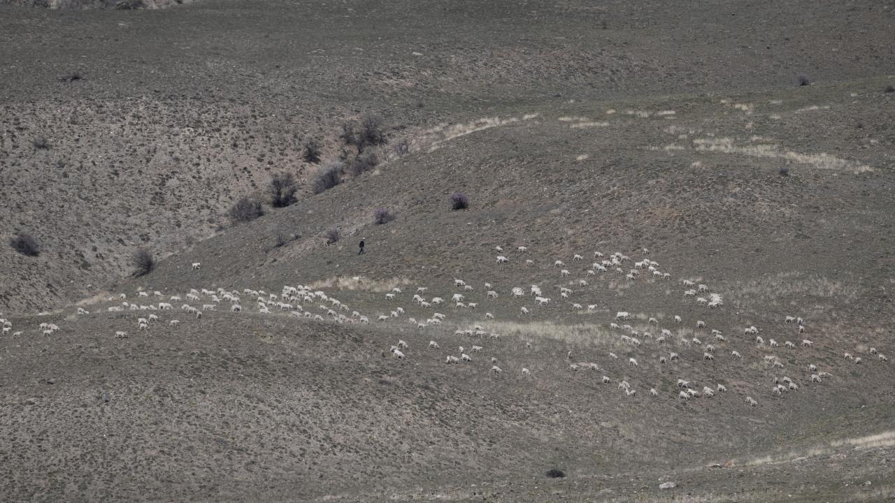 Efeoğlu, mera ve çoban sıkıntısı yaşadıklarına dikkati çekerek, şöyle konuştu: