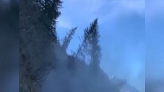 Toprakla beraber ağaçlar da körfeze sürüklendi