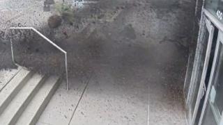 Freni arızalanan araç kongre merkezine girdi