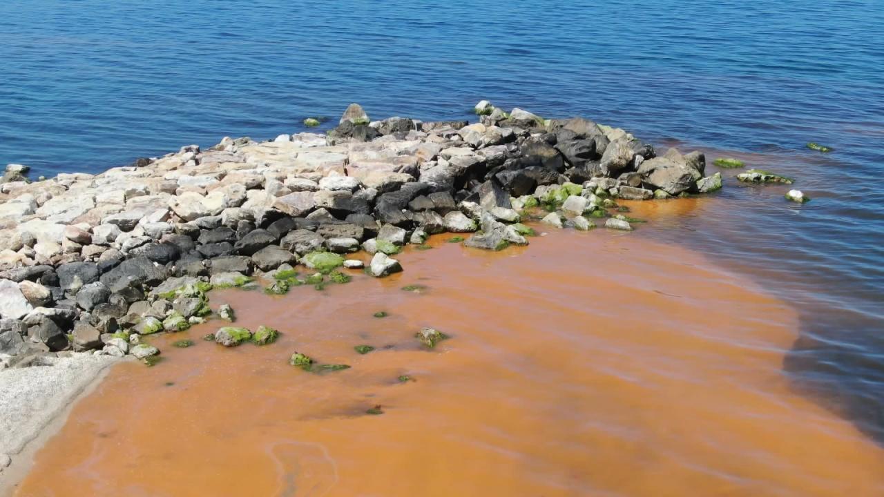 "Aslında İstanbul`un en temiz denizlerinden biri, çok üzücü bir durum"