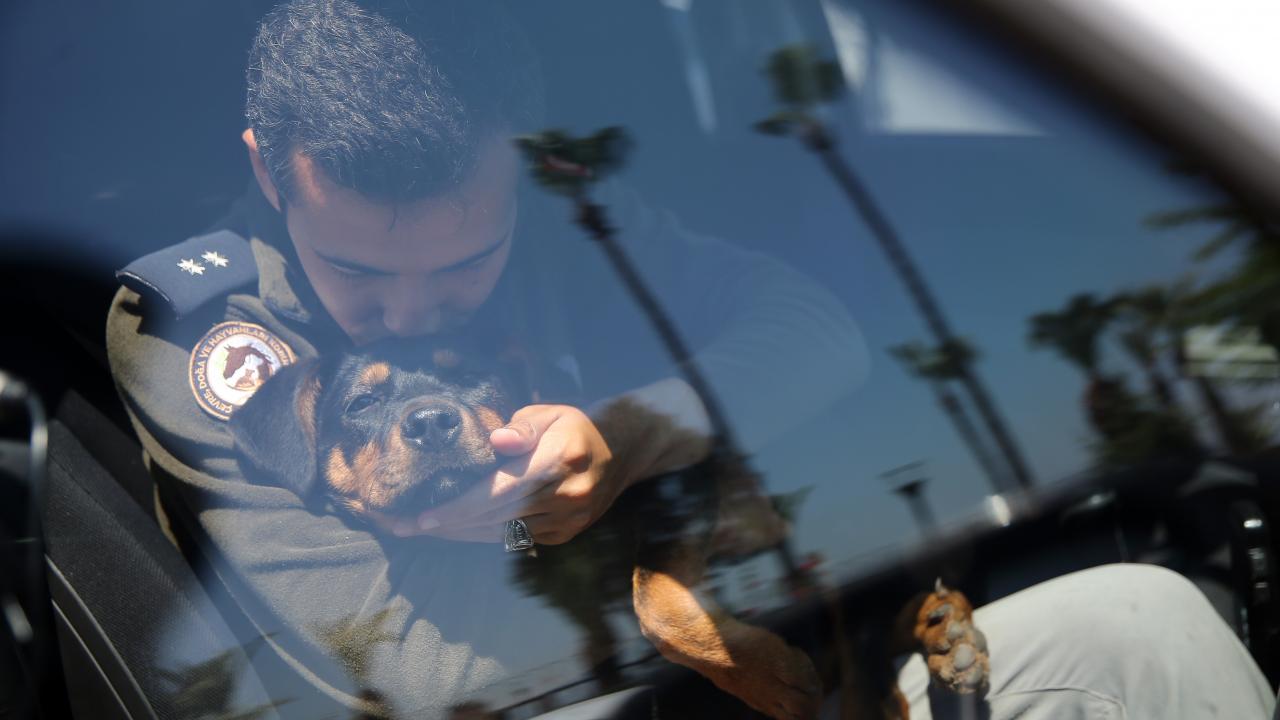 'Şanslı' HAYDİ polisine emanet