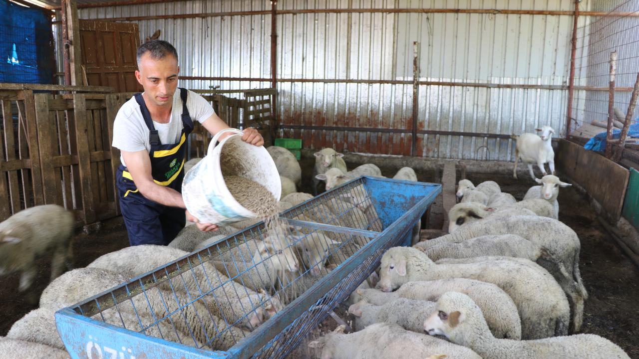  Genç üretici hayatından memnun