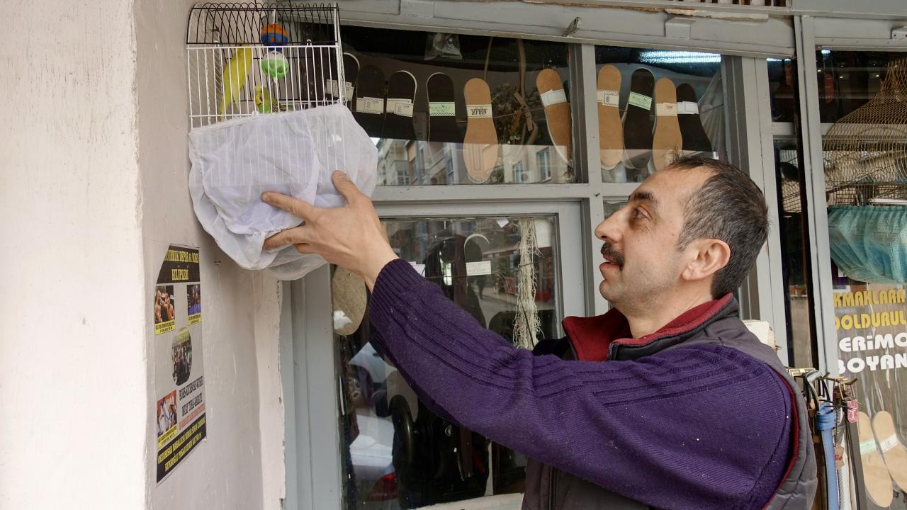 "İş yaptırmak için olmasa bile kuşların sesini dinlemek için geliyoruz"