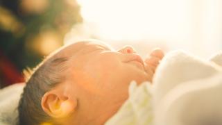 Doğurganlık hızının en yüksek olduğu il Şanlıurfa