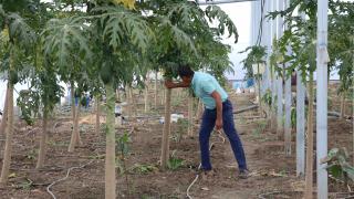 15 yıllık aşçı mesleğini bırakıp devlet desteğiyle çiftçi oldu