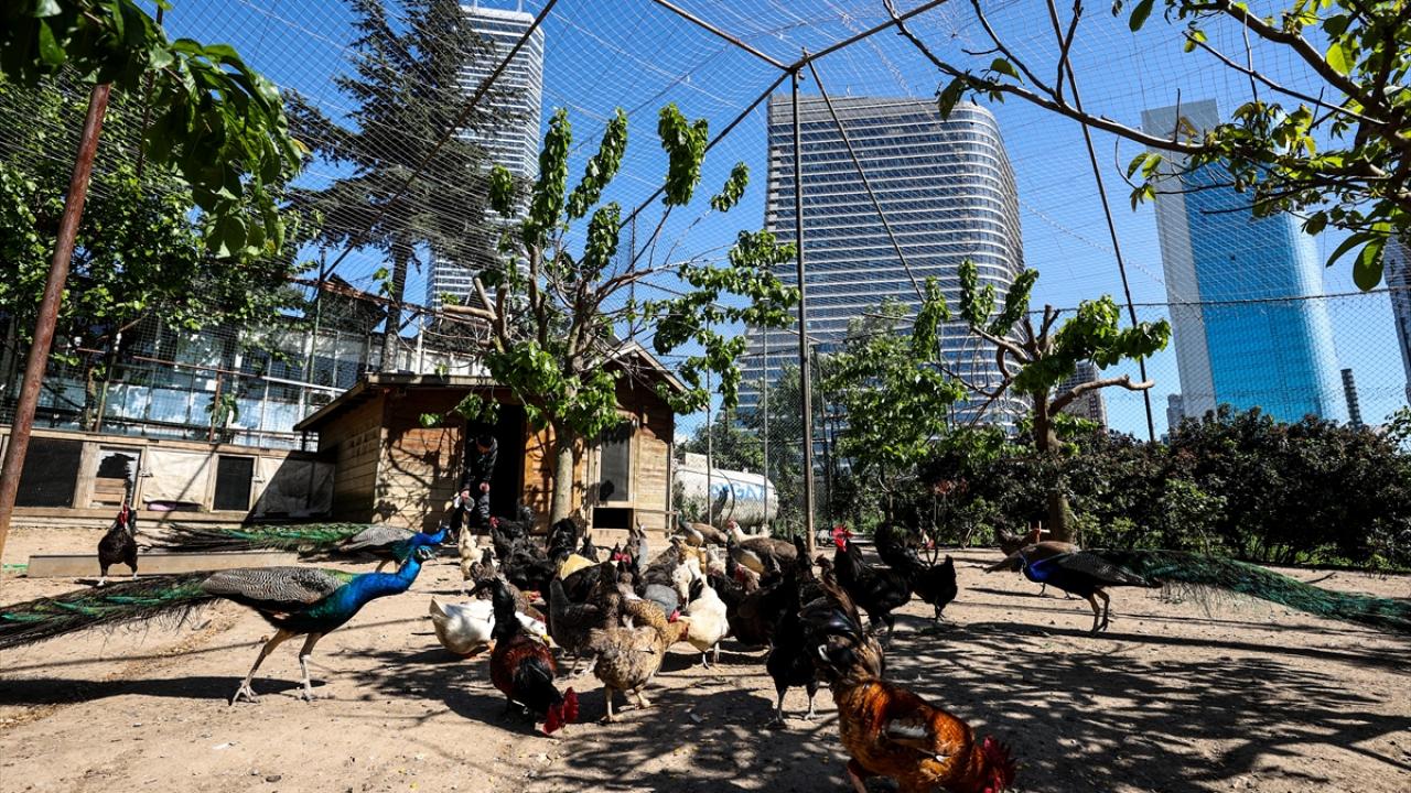 "2025 yılına kadar Karayollarıyla anlaşmamız var"