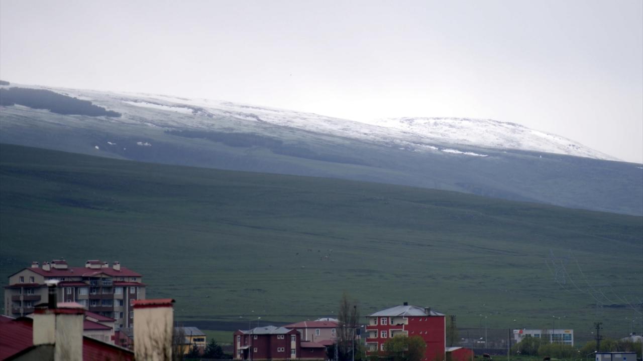 Ardahan