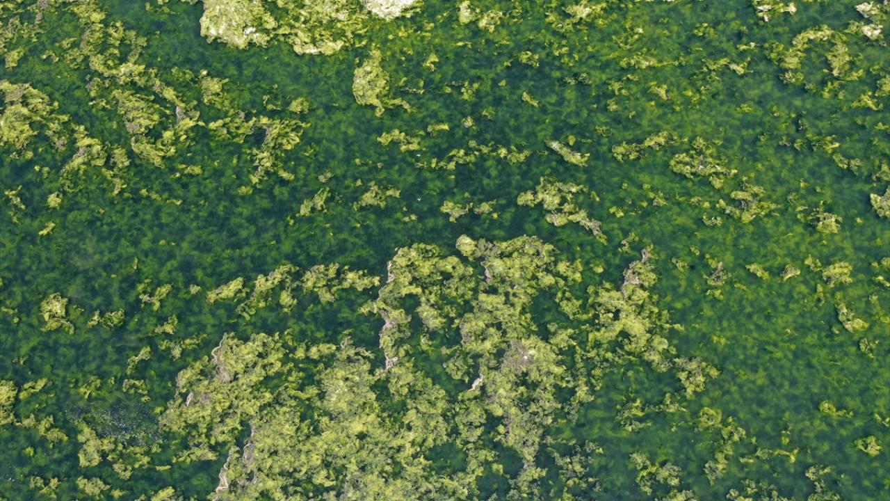 "Şu anki manzara 2002 yılına eşit"