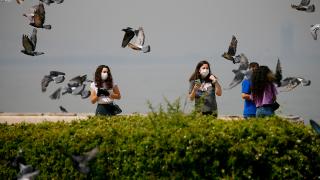 En çok hangi illerde genç nüfus var?