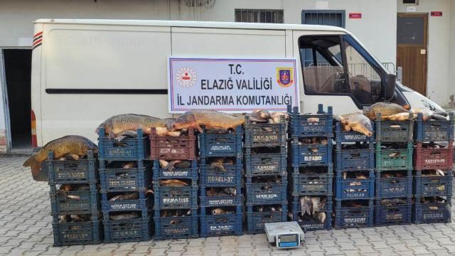 Elazığda kaçak avlanan 1323 kilogram balık ele geçirildi