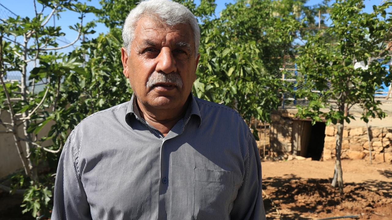 "Petrol kokusu aldığımızda duygulanıyorduk, seviniyorduk"