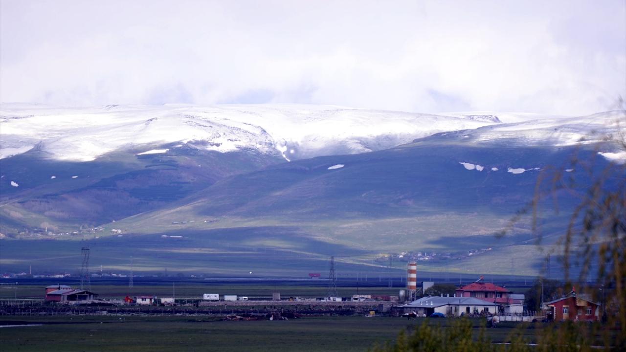 ARDAHAN