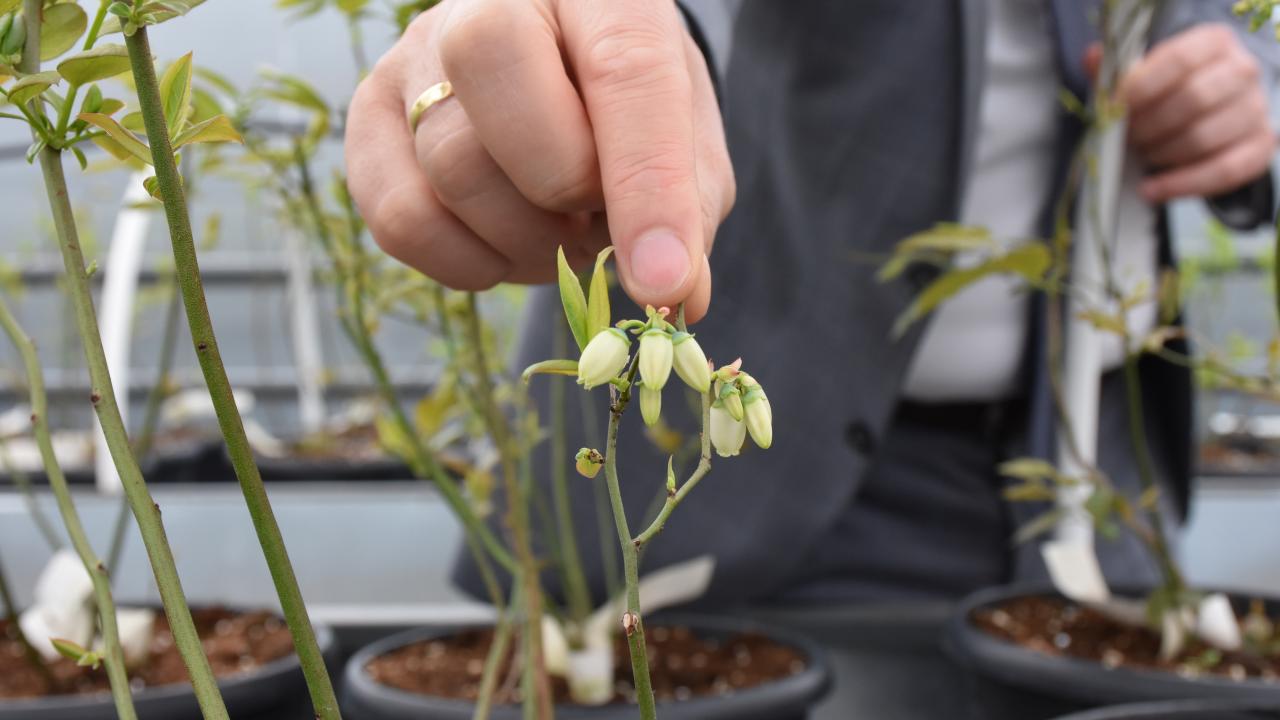 Yılmaz, 5 milyon fidan yetiştirdiklerini ifade ederek, şunları kaydetti: