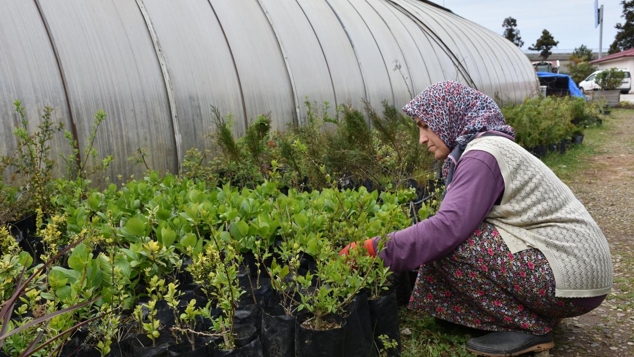 Doku Kültürü Laboratuvarı kuruldu