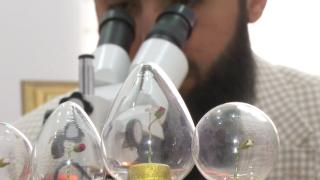 Gözle görülemeyen özel eserler: Gubari Hat sanatı