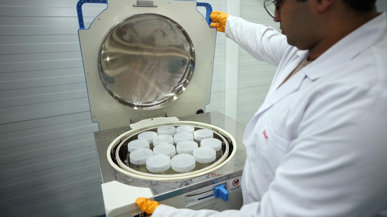 "Uzun vadede ithalatı tamamen kesmeyi, ihracata yönelik çalışmayı hedefliyoruz"