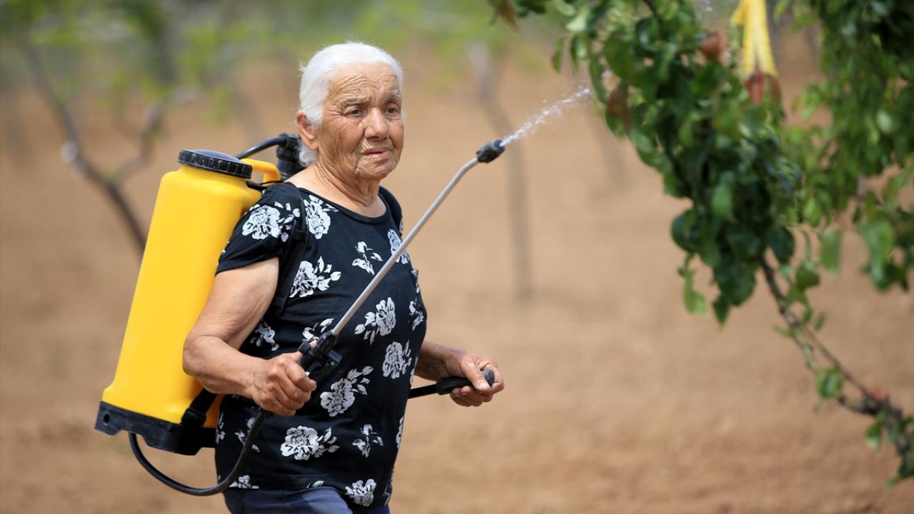 "Toprak kazandırır"