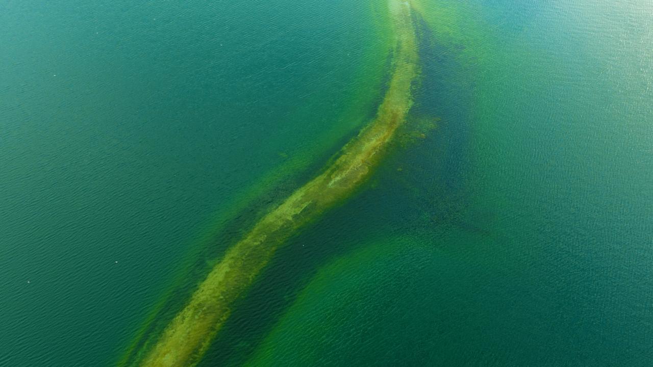 “Adaya yürüyerek seyahat edilebilecek”
