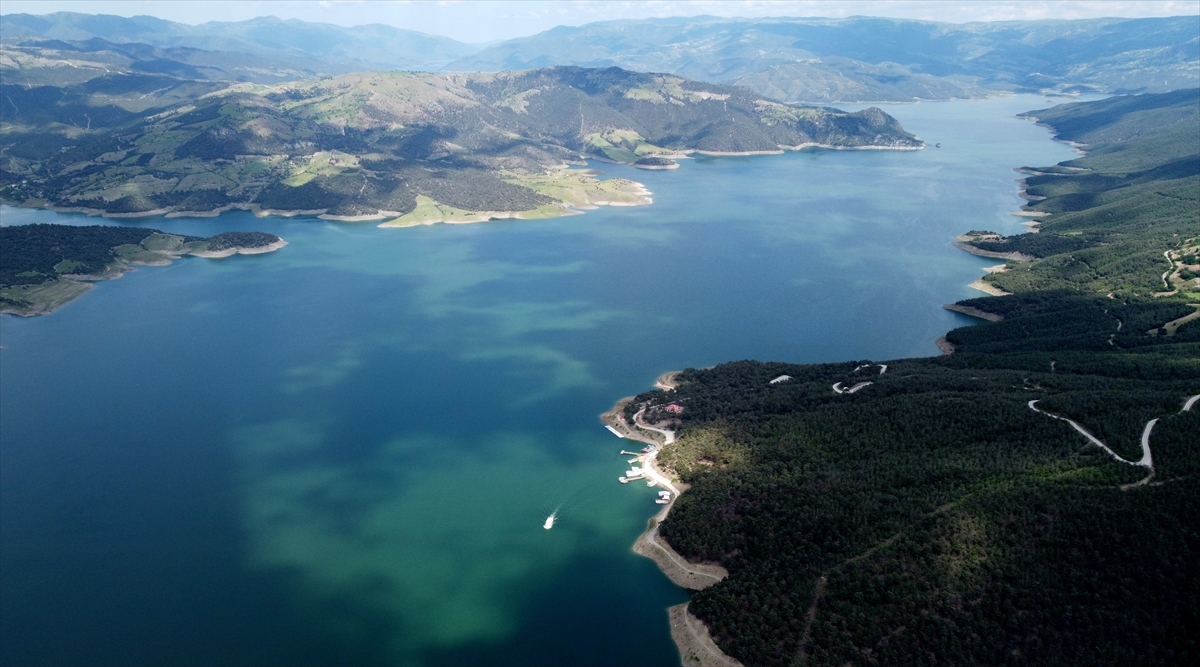 "Tüm Türkiye`yi, tüm dünyayı bekliyoruz"