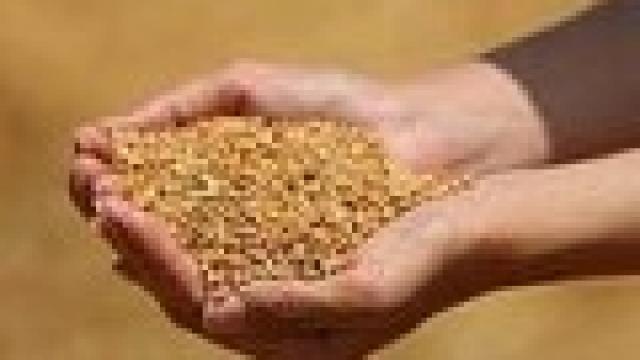 Tekirdağda 20 dönümlük buğday tarlası yandı