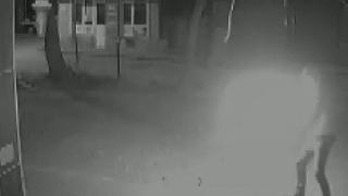 Samsun'da iş yerine molotoflu saldırı