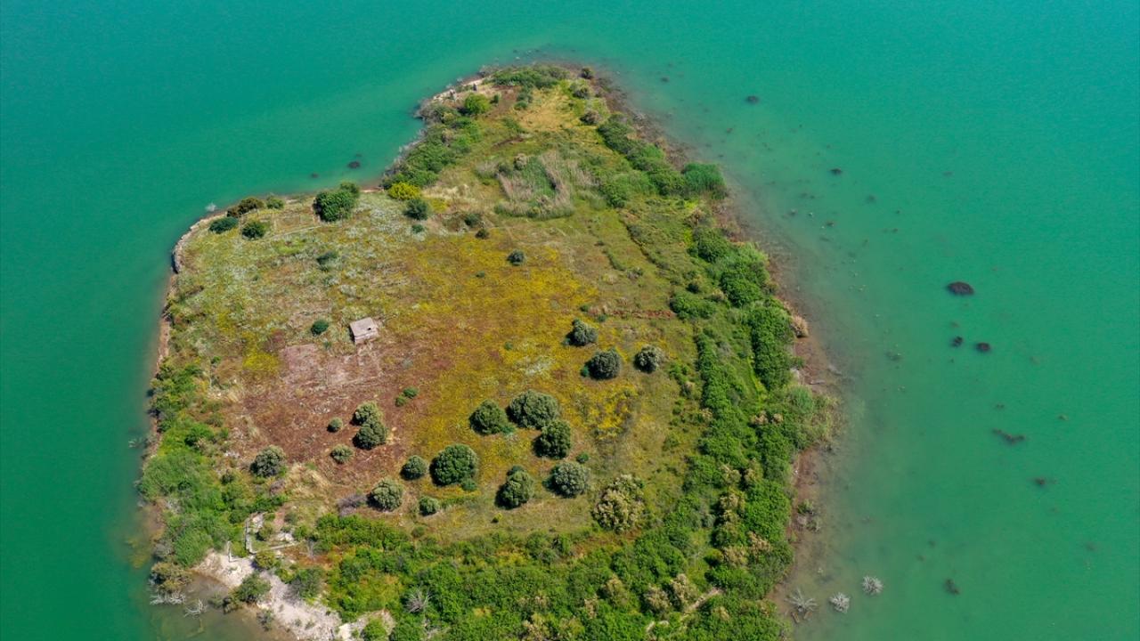 Baraj doluluk oranları yüzde 55