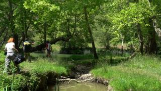 Kamp keyfi zehir olmasın