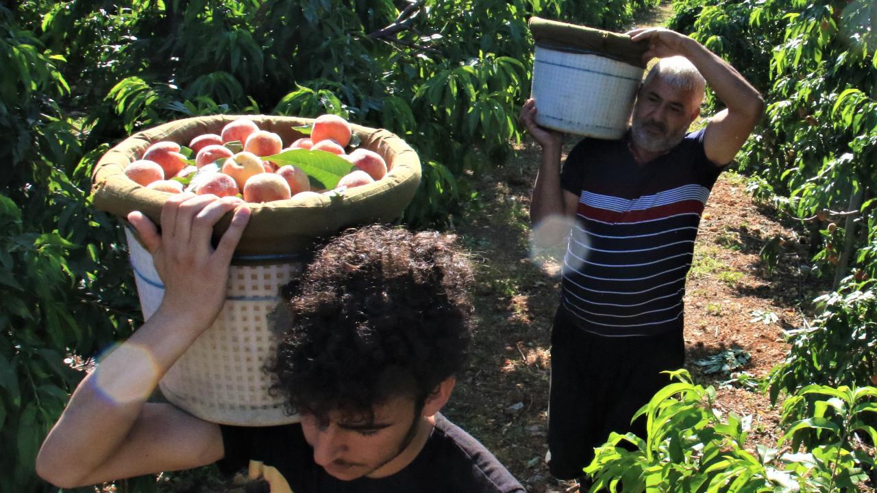 "Fiyatlardan memnunuz"