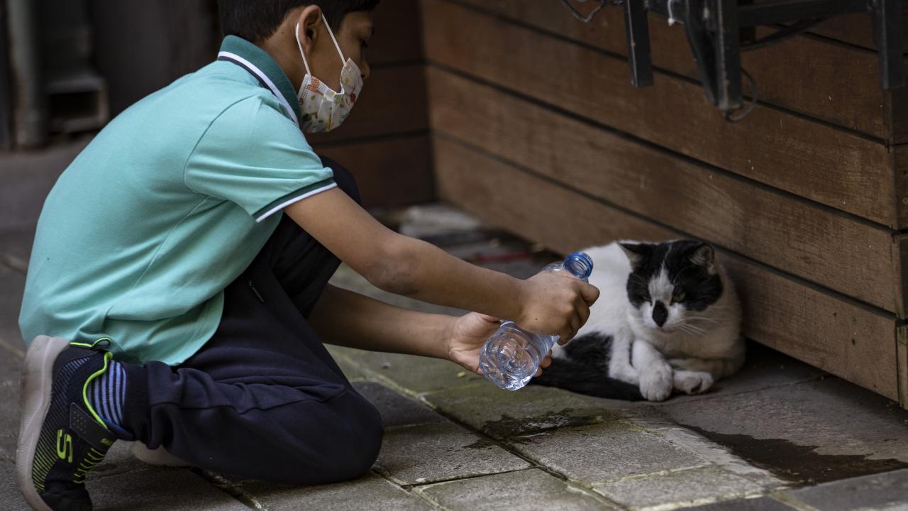 Gaziantep / Karkamış - 39,9 °C