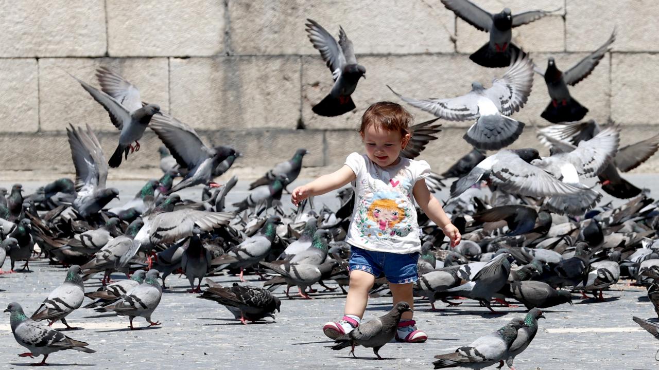 Hatay / Reyhanlı - 38,7 °C