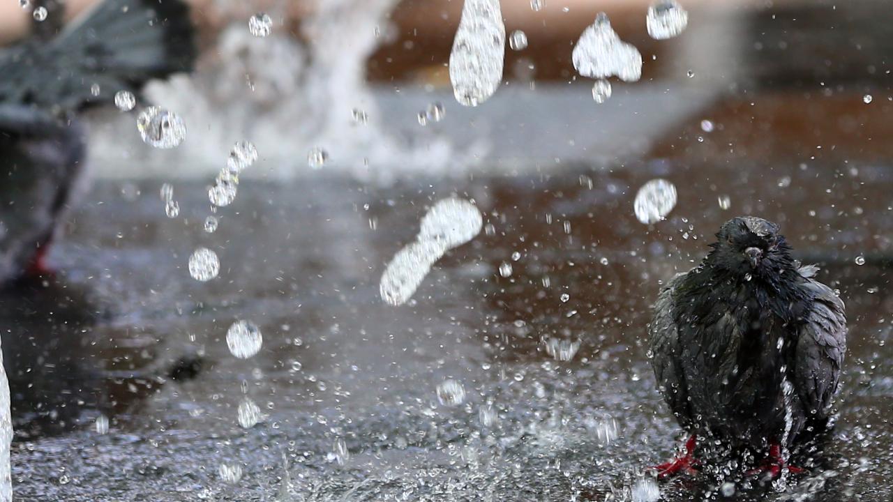 Denizli / Sarayköy - 38,5 °C