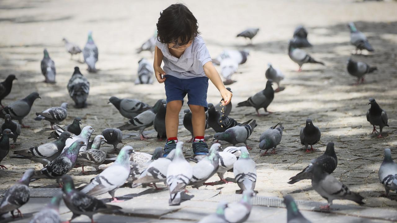 Şırnak / Silopi - 38,7 °C