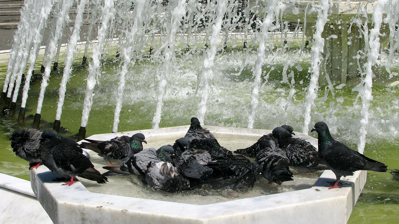 BEKLENEN EN YÜKSEK SICAKLIK DEĞERLERİ: