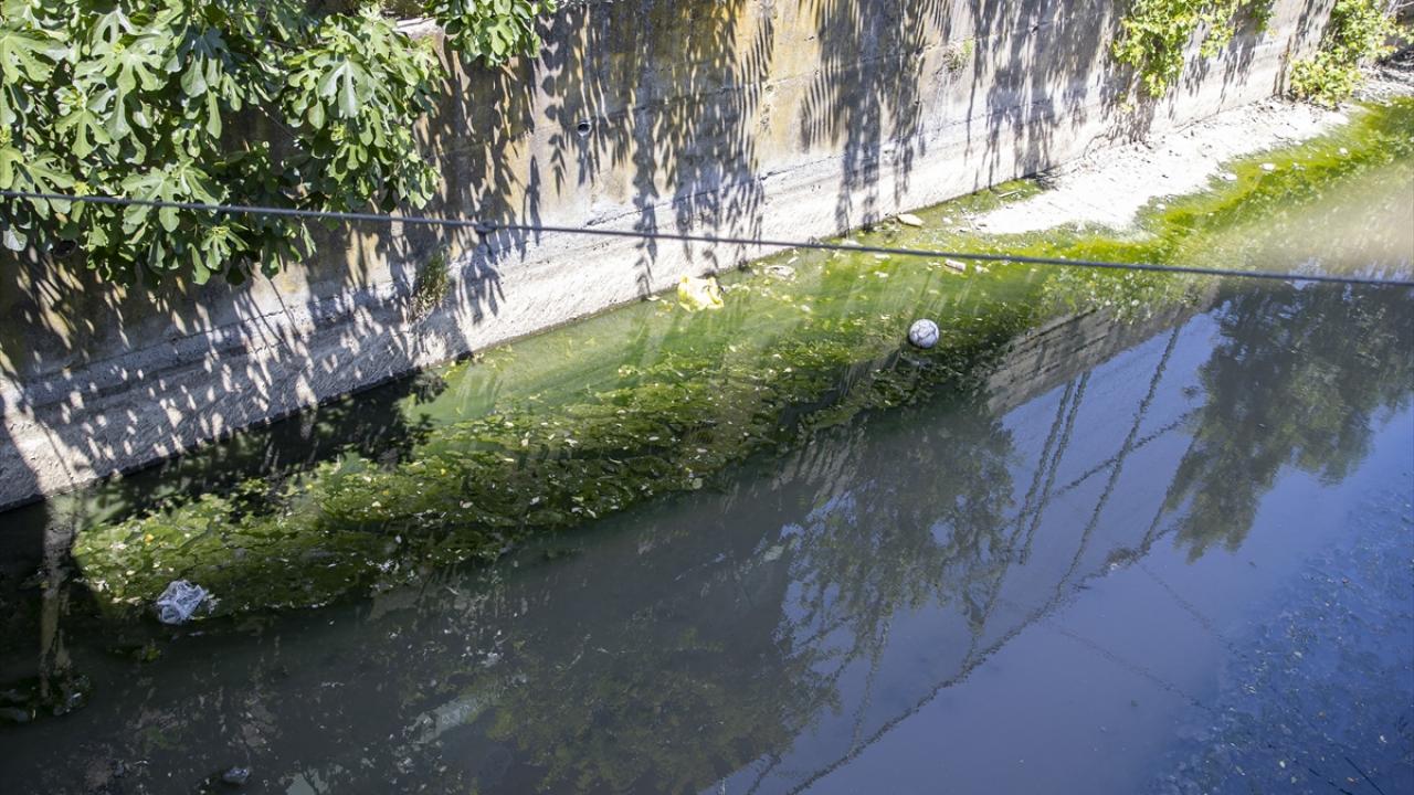 "Havaların ısınmasıyla daha da arttı"